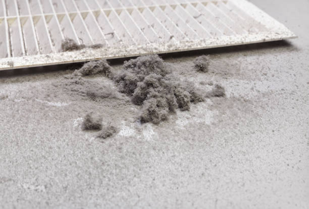 Best Air Duct Cleaning Near Me  in Aldine, TX
